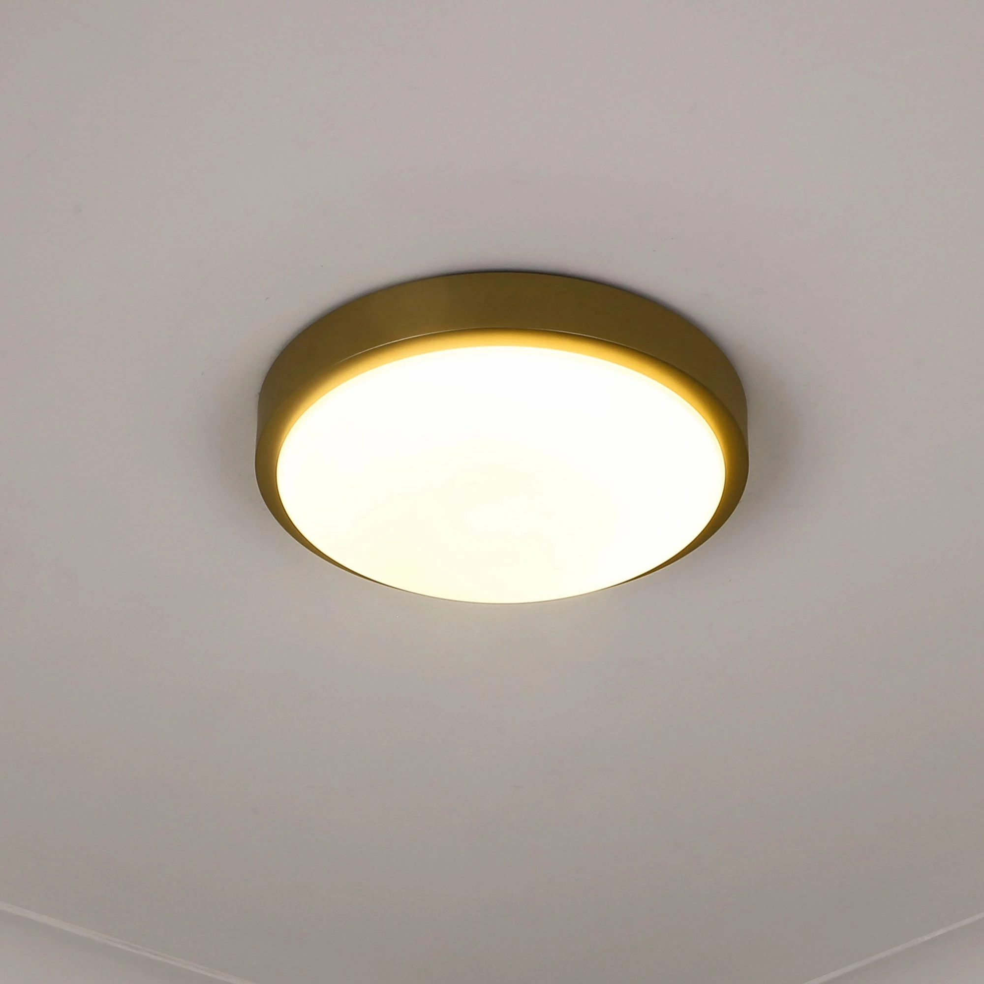 Budget β¨ Golden Lighting Gabi Flush Mount Brushed Champagne Bronze π€© - Image 4