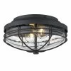 Coupon 💯 Golden Lighting Seaport Outdoor Flush Mount Sconce ⌛