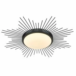 Buy ⭐ Golden Lighting Kieran Flush Mount Matte Black 💯