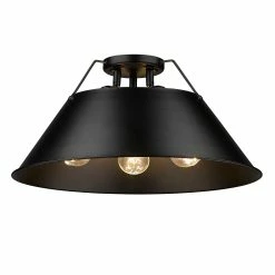 Flash Sale 🌟 Golden Lighting Orwell 3 Light Flush Mount - Matte Black 😉