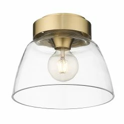 Wholesale β€οΈ Golden Lighting Remy Flush Mount - 10" Brushed Champagne Bronze 𧨠13 Wholesale β€οΈ Golden Lighting Remy Flush Mount - 10" Brushed Champagne Bronze 𧨠-Golden Lighting Sales Remy Flush Mount 1022 2