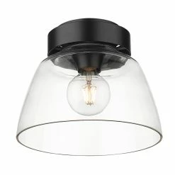 Wholesale β€οΈ Golden Lighting Remy Flush Mount - 10" Brushed Champagne Bronze 𧨠18 Wholesale β€οΈ Golden Lighting Remy Flush Mount - 10" Brushed Champagne Bronze 𧨠-Golden Lighting Sales Remy Flush Mount 1022 7