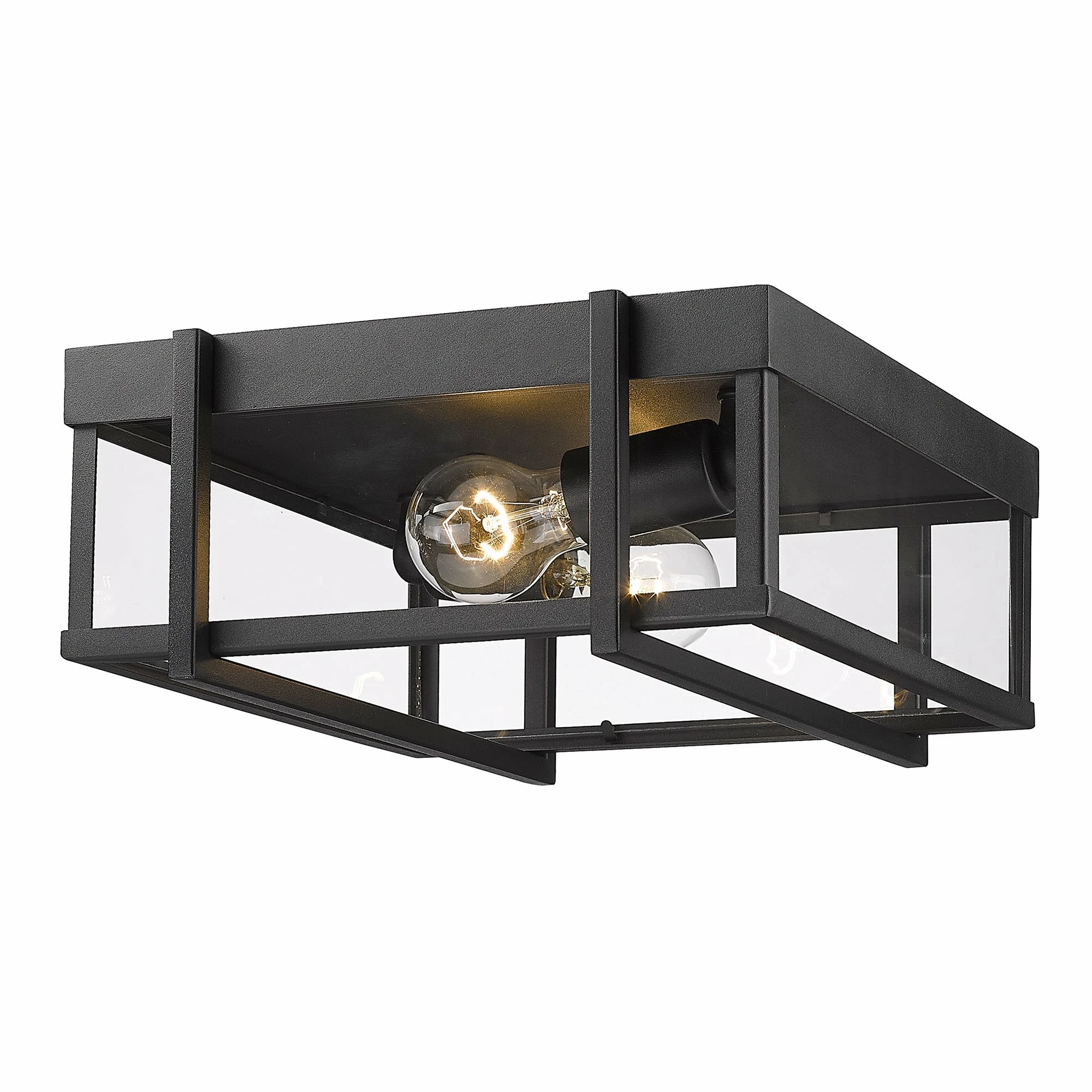 Brand new ๐ Golden Lighting Tribeca Flush Mount - Outdoor - Natural Black With Clear Glass ๐